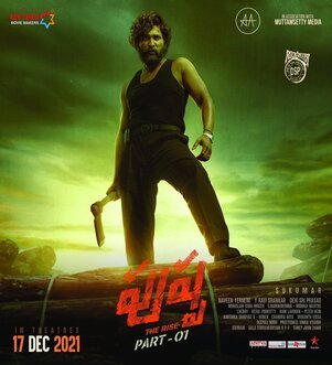 Pushpa The Rise